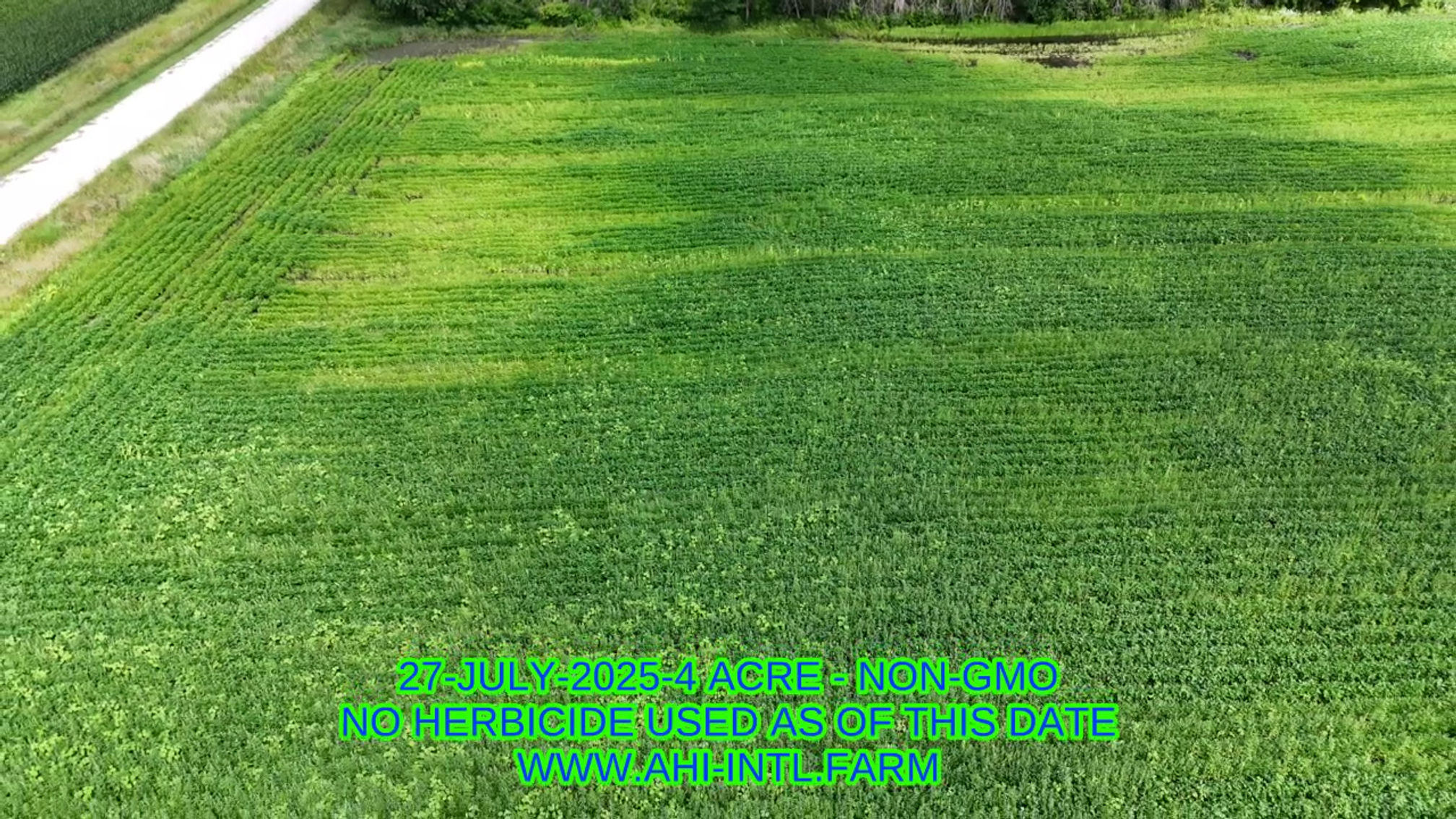 27-JUL-2025-4ACRE-VID